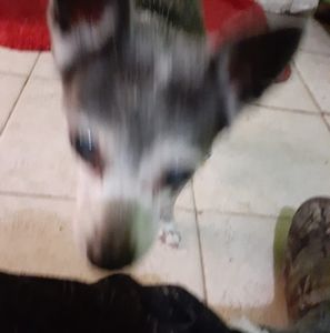 Meet your Posher, Joseph